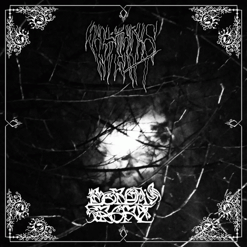 Sulphuric Night : Sulphuric Night - Borda's Rope